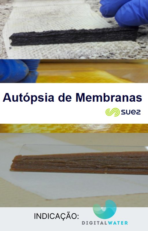 autopsia_membranas_suez