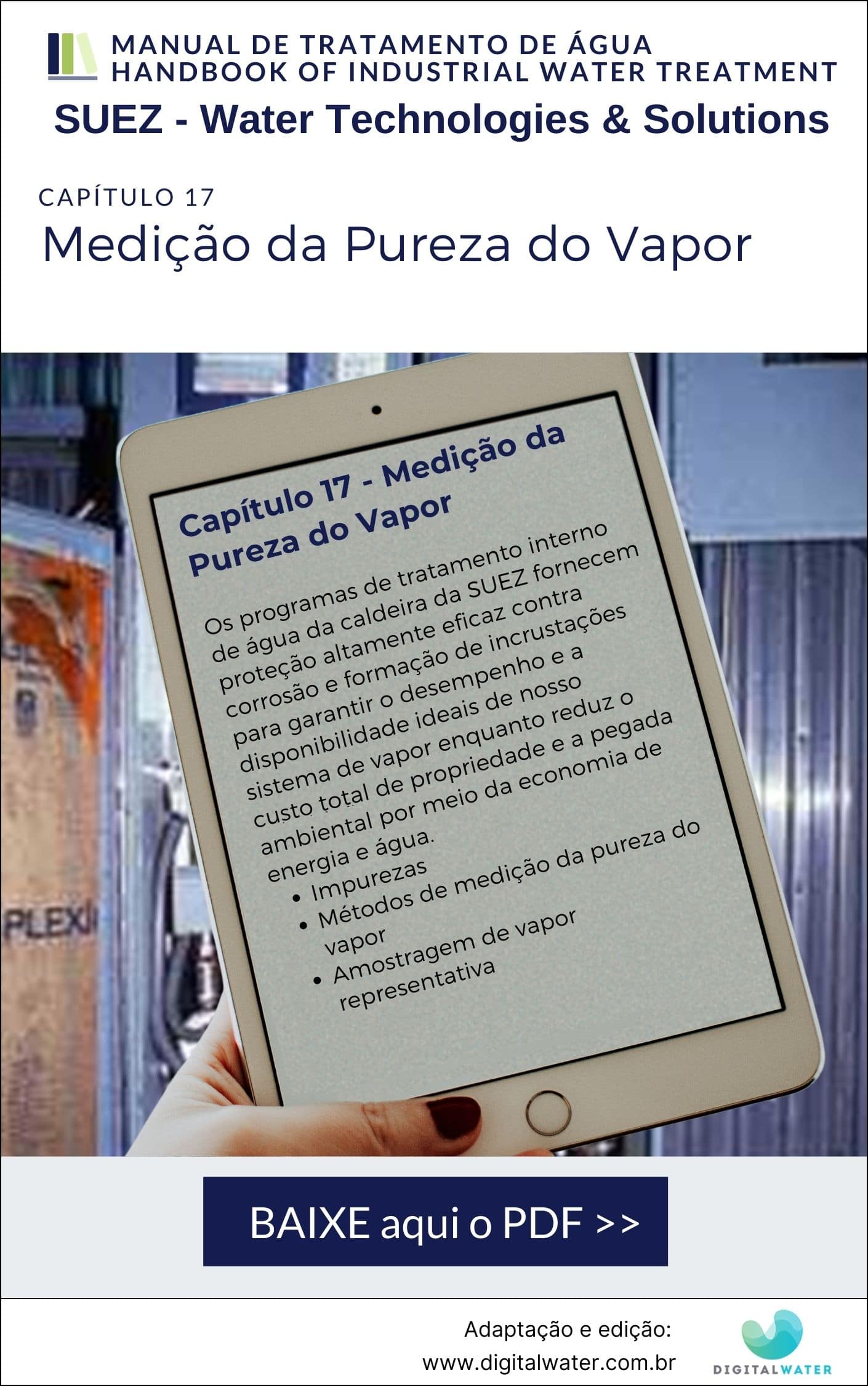 pureza_do_vapor