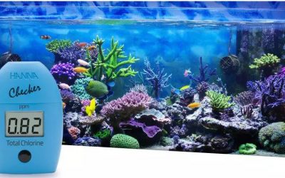 A importância do cloro em aquários e na aquicultura