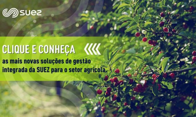 Agricultura – Recursos hídricos e energéticos