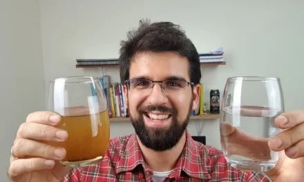 Filtros Granulares – Do Projeto à Operação