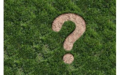Quão Prevalente e Perigosa é a Contaminação por Pesticidas?