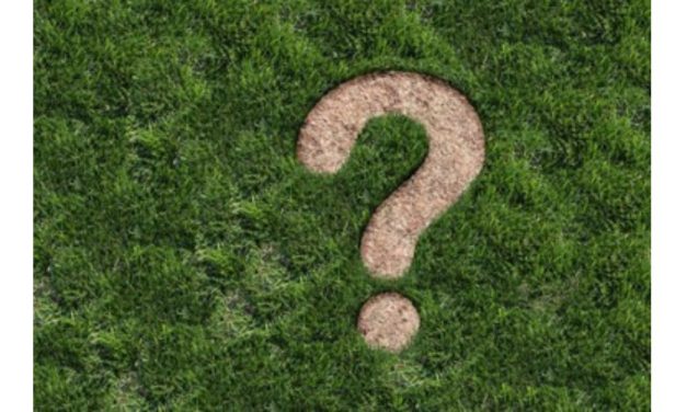 Quão Prevalente e Perigosa é a Contaminação por Pesticidas?