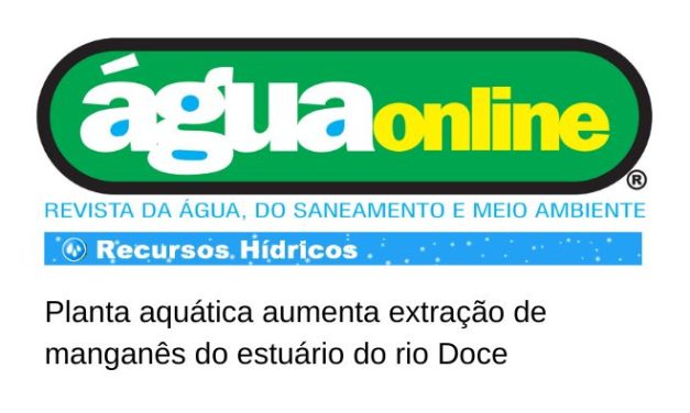 Planta aquática aumenta extração de manganês do estuário do rio Doce