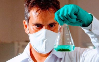 EM 10 ANOS BASF SOMOU 272 PEDIDOS DE PATENTES EM AGRICULTURA SUSTENTÁVEL DO BRASIL