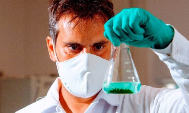 EM 10 ANOS BASF SOMOU 272 PEDIDOS DE PATENTES EM AGRICULTURA SUSTENTÁVEL DO BRASIL