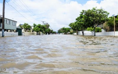 Infraestrutura verde pode reduzir enchentes em bacias que passam por urbanização acelerada