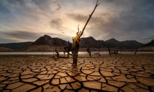 Desafios e oportunidades na gestão de riscos de secas e de inundações