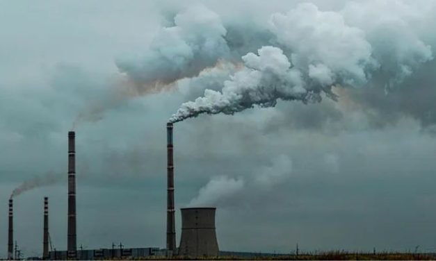 Quadro geopolítico atual é um desafio para a COP 27