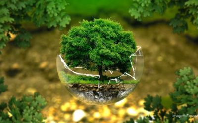 Fenasan 2022: Prêmio Expositores passa a considerar conceitos de ESG