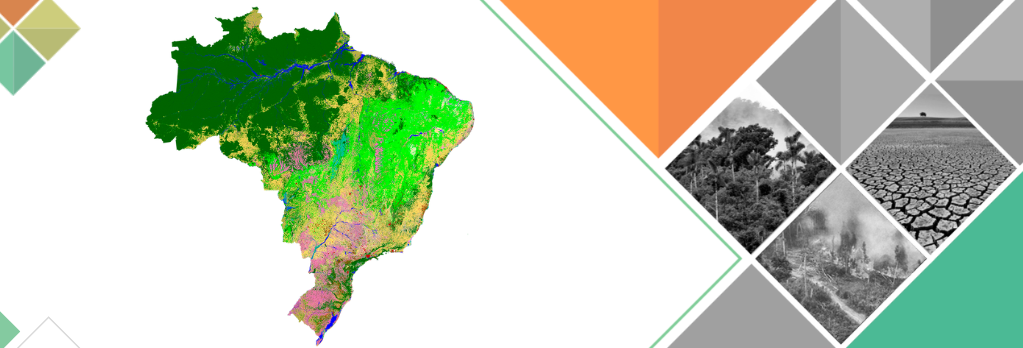 Perda da vegetação no brasil perda de vegetacao