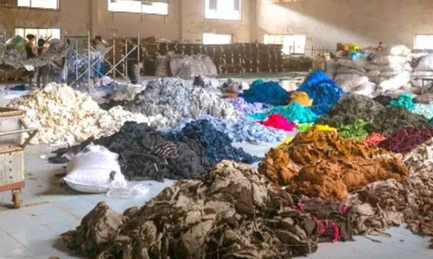 Pesquisadores da USP desenvolvem projetos para tornar a indústria da moda mais sustentável