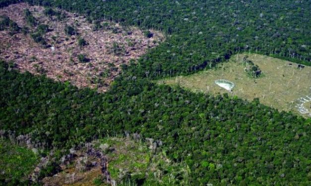 Continuidade do desmatamento fará Brasil ultrapassar em 137% a meta de emissões para 2030