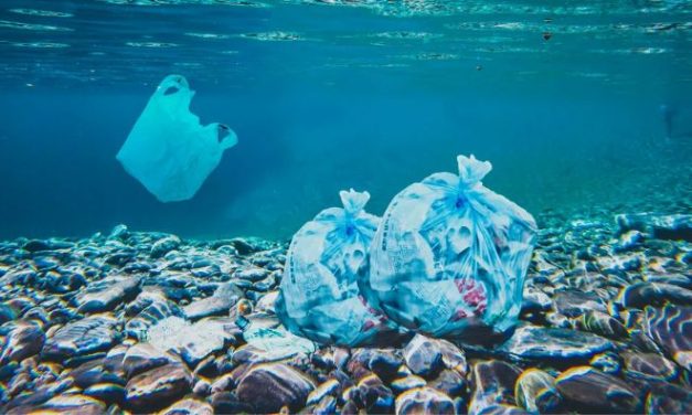 Em e-book gratuito, pesquisadores da USP explicam impactos dos microplásticos nos ecossistemas