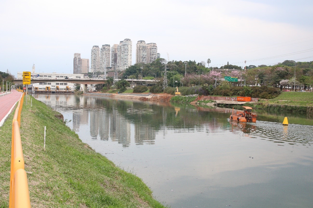 rio_pinheiros