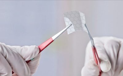 Livro sobre nanotecnologia aplicada a materiais poliméricos está disponível gratuitamente