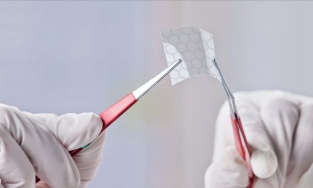 Livro sobre nanotecnologia aplicada a materiais poliméricos está disponível gratuitamente