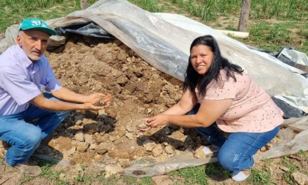 Agricultores de Cuiabá utilizam lodo de esgoto transformado em adubo para o cultivo de pastagens