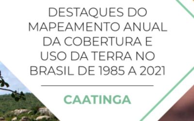 CAATINGA perde 160 mil hectares de superfície de água e mais de 10% de vegetação nativa nos últimos 37 anos