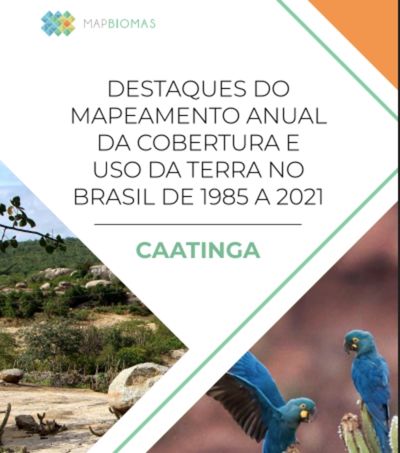 caatinga caatinga