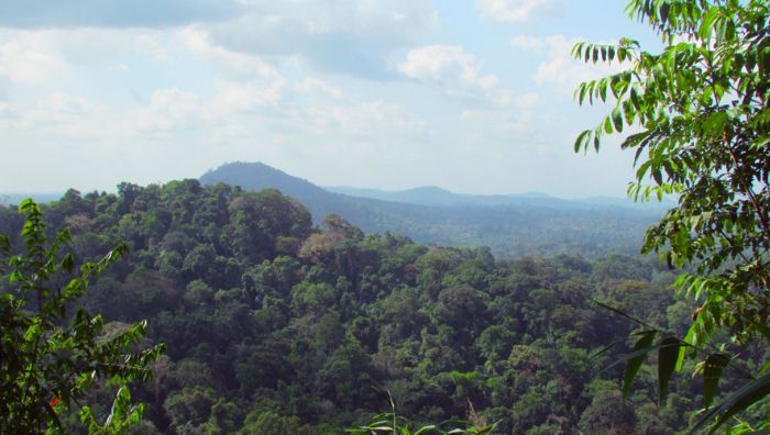 estacao_ecologica_jari estacao_ecologica_jari