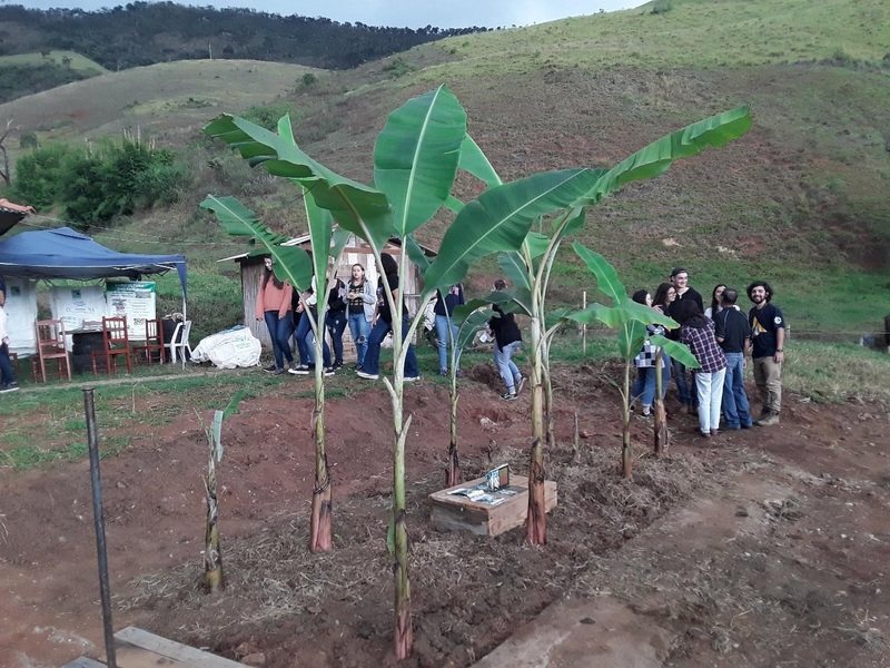 content_circulo_de_bananeiras fossas-ecologicas