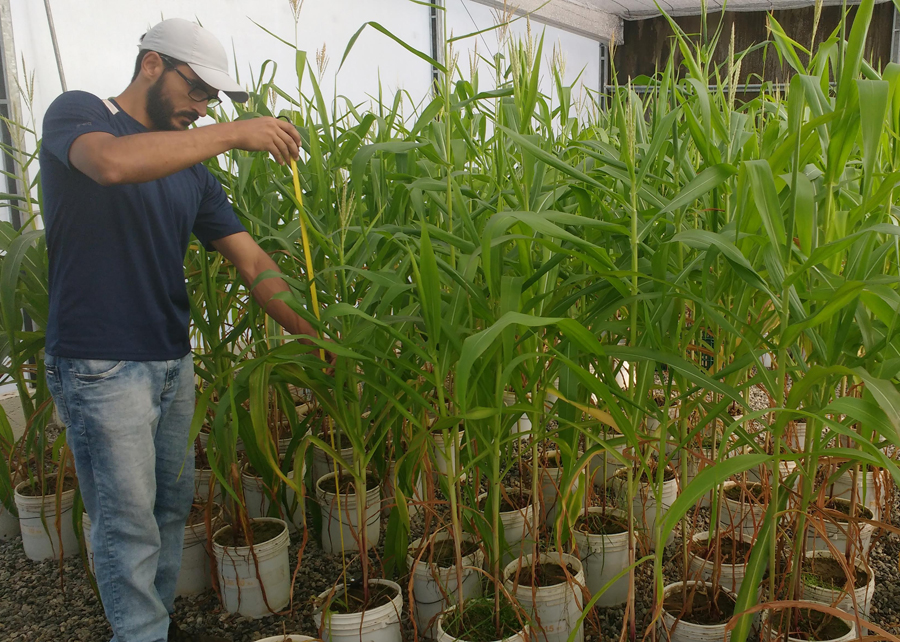 ivan-dos-santos-pereira tratamento-de-agua-na-agricultura