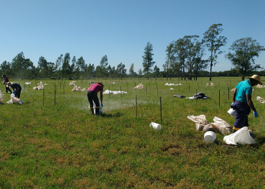 trabalho_no_campo agricultura