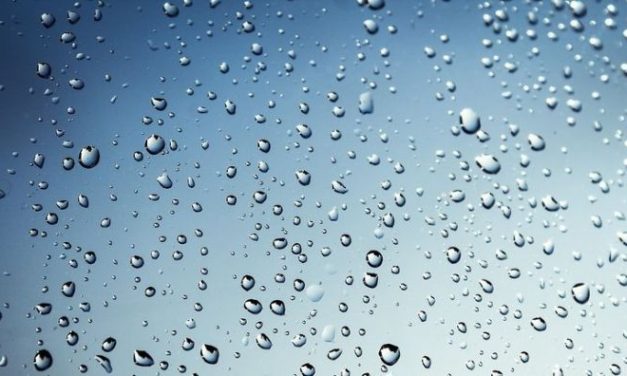 RÁDIO CÂMARA – Água: cada gota importa