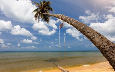 Habitat Brasil é selecionada para executar projeto que irá atender 460 escolas na Ilha do Marajó