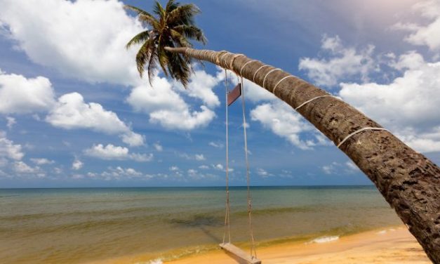 Habitat Brasil é selecionada para executar projeto que irá atender 460 escolas na Ilha do Marajó