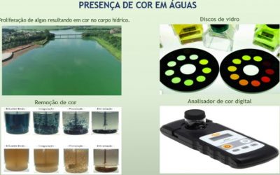 PRESENÇA DE COR EM ÁGUAS NATURAIS