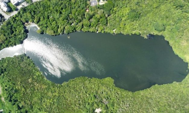 Espelho d’água da Lagoinha das Taxas, no Recreio, fica limpo após Fundação Rio-Águas remover gigogas