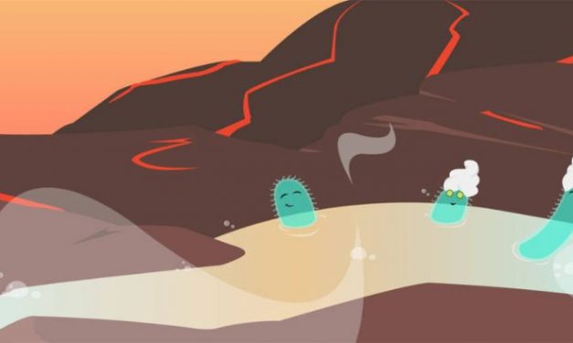 “Água fervente para nós é refresco!”: os locais preferidos para micróbios amantes do calor