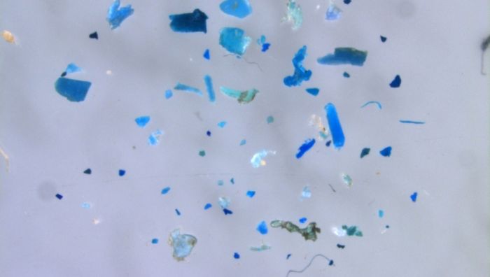 poluicao-por-microplasticos microplasticos