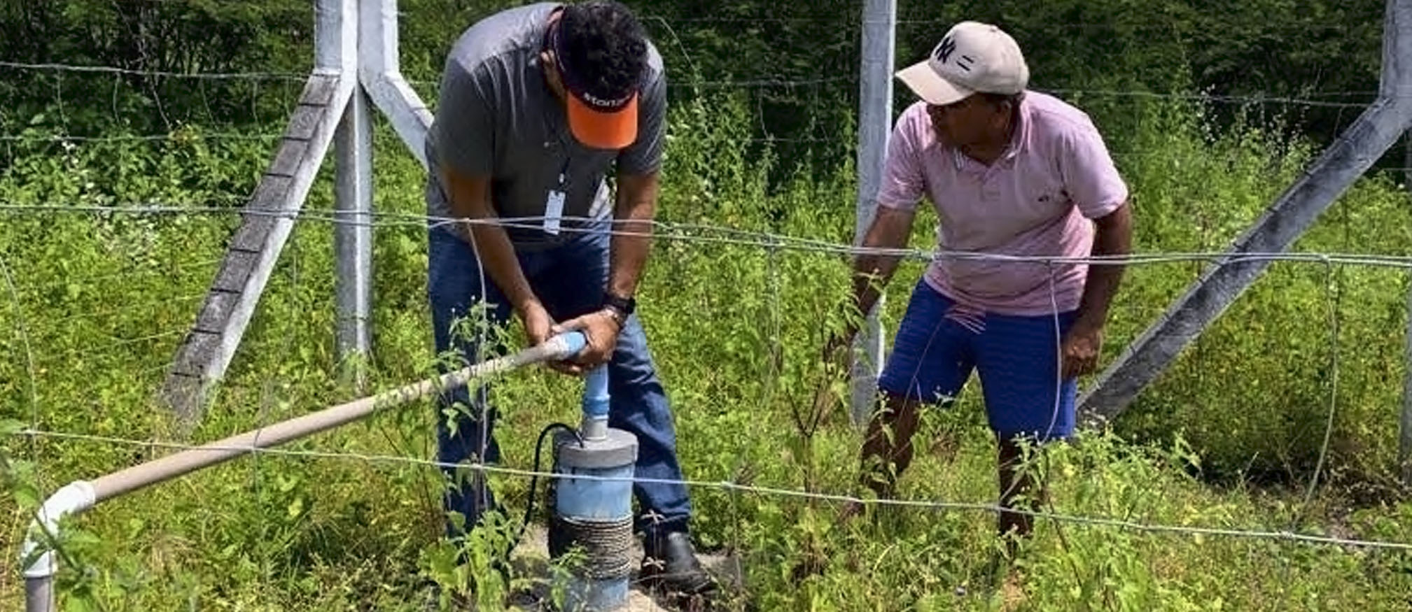 programa-implantacao-de-sistemas sergipe