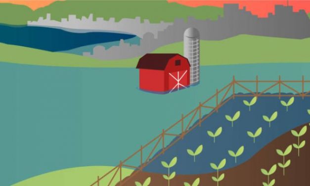 Por que devemos nos preocupar com as alterações do nível do mar?