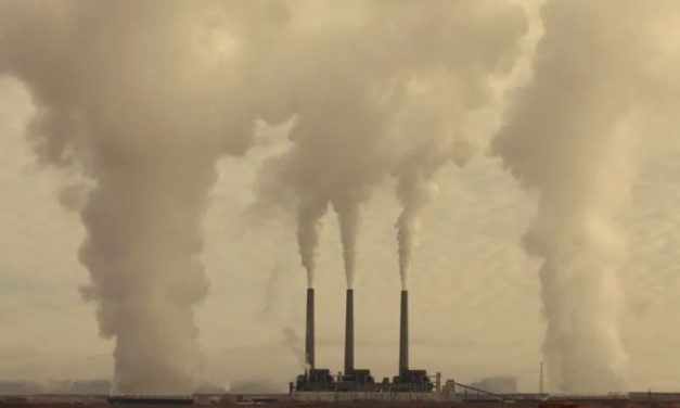 Descarbonização no Brasil é uma realidade que mira novas tecnologias e áreas de exploração