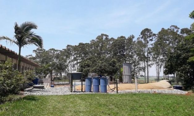 Otimização de recursos e ganhos em sistemas de produção animal