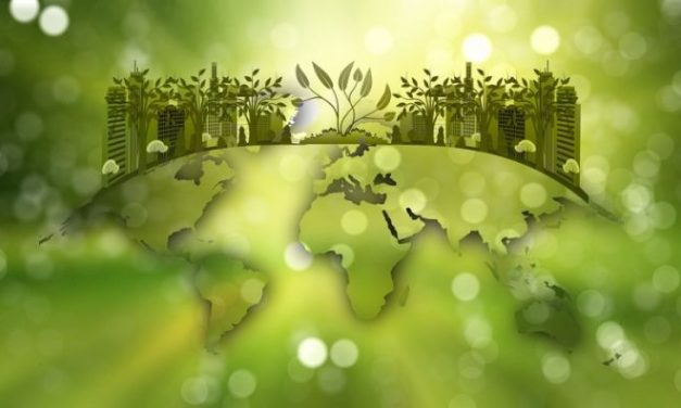 Livro propõe estratégias para ajudar as cidades a lidar com as mudanças climáticas