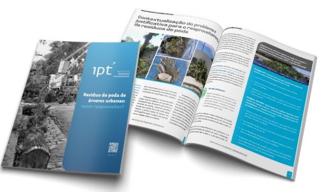 Resíduos sustentáveis de poda