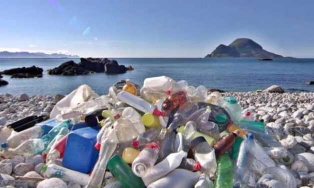 Formação de rochas de plástico no ambiente marinho é mais uma prova da ação do homem no planeta