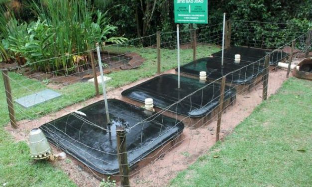 Embrapa lança gratuitamente curso virtual de saneamento básico rural