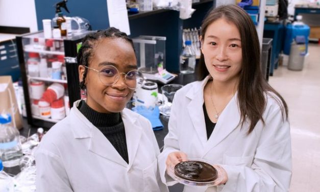 Gel movido a energia solar se destaca na purificação de água