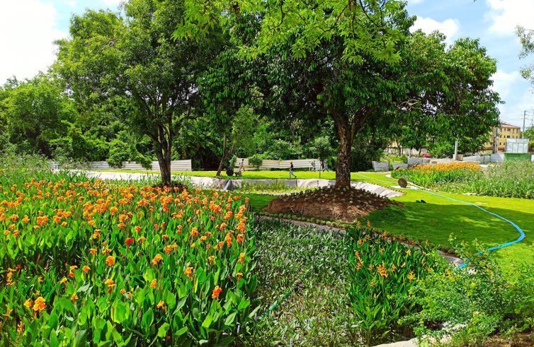 jardim_filtrante_recife_2.3.23_-_foto_giselle_cahu_aries-citinova_0 jardim_filtrante_recife