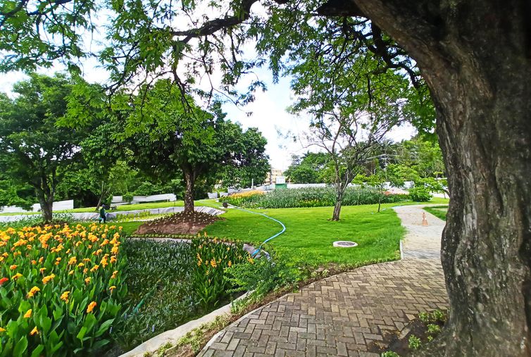 jardim_filtrante_recife_2.3.23_-_foto_giselle_cahu_aries-citinova_1 jardins-filtrantes