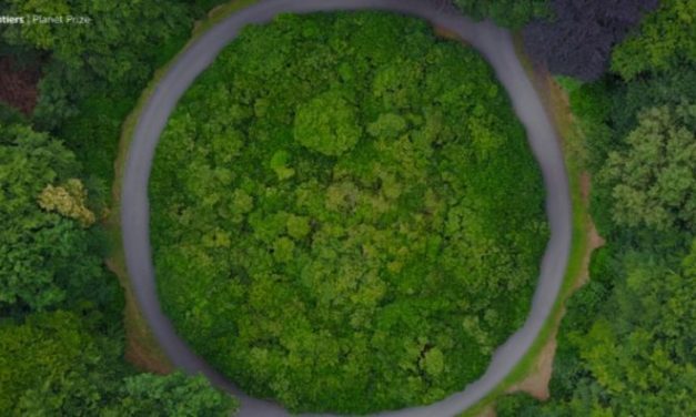 UFMT avança nos estudos sobre nanotecnologia no Agro