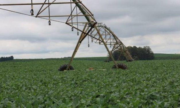 São Paulo enfrenta desafio de assegurar água para abastecer consumidores, cidades e indústrias em meio a crescimento da irrigação voltada para produção agrícola