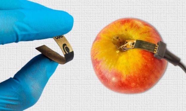 Sensor de papel detecta agrotóxico em alimentos de modo rápido e barato