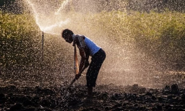 O armazenamento de água está no centro da adaptação às mudanças climáticas